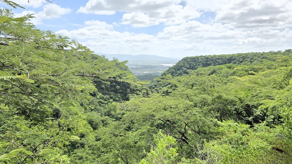 Africa Safari Manyara Escarpment