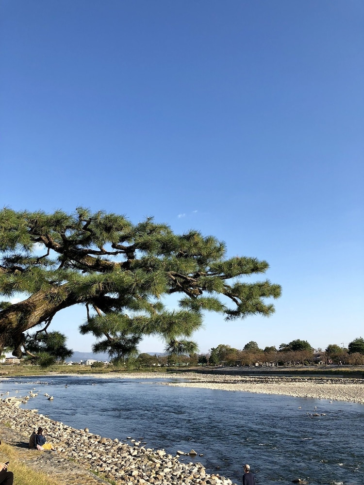 Tsubaki Ann Kyoto