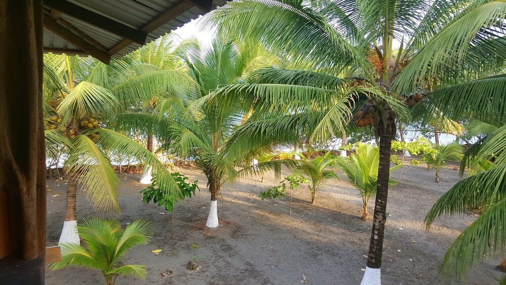 Photo 21