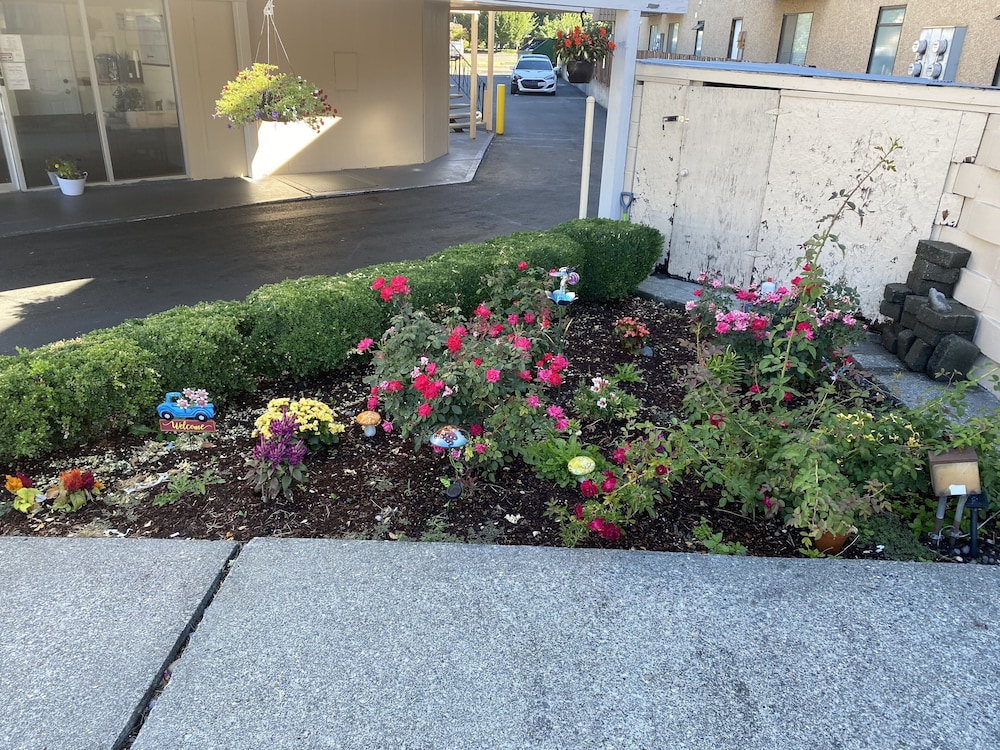 other