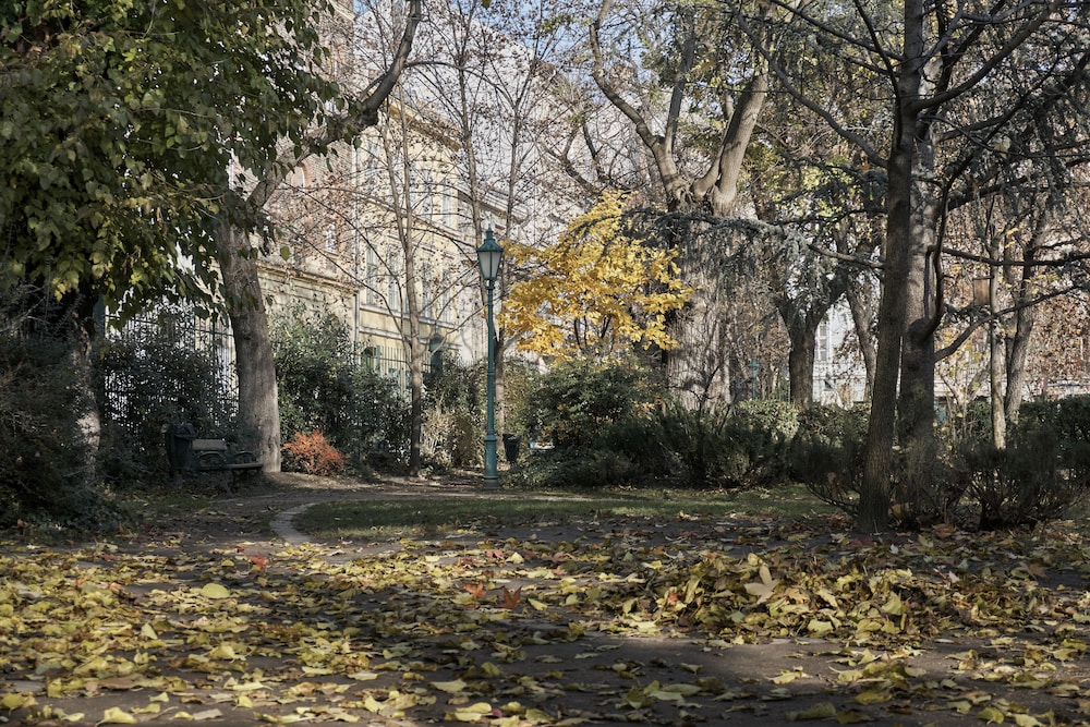 Károlyi Garden Apartment