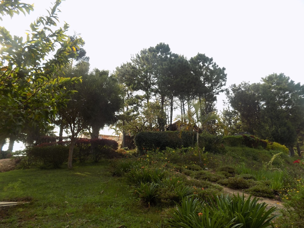 Photo 41
