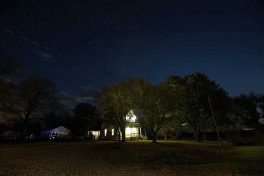 Netherfield Natural Farm