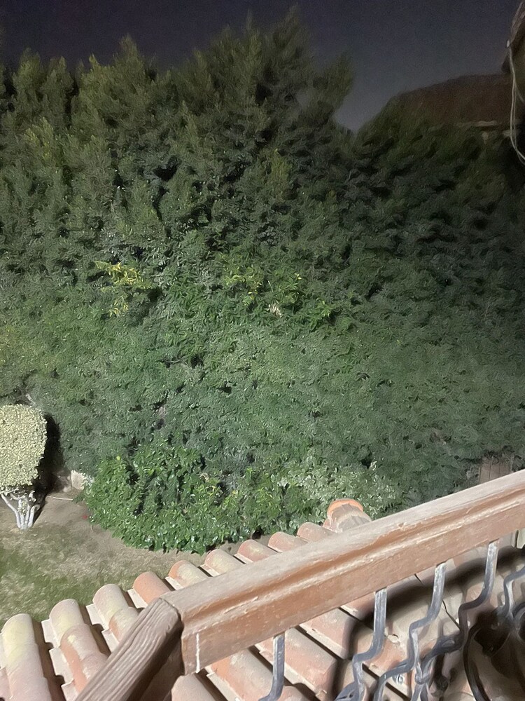 Beverly hills villa with garden