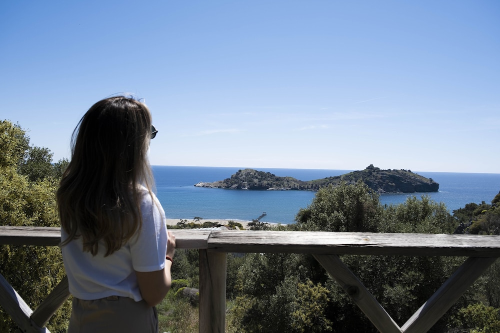 Photo 78