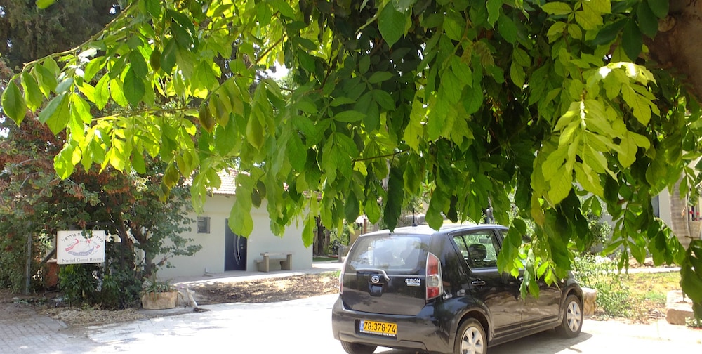 Nuriel Fruit & Guest House