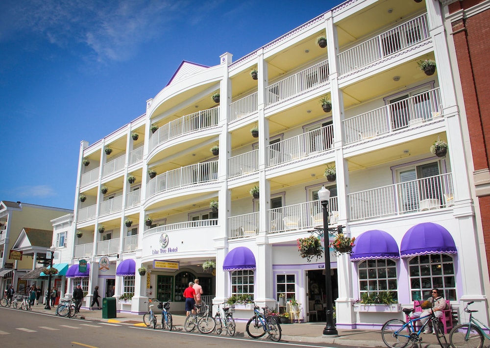 Hotel Lilac Tree Suites - Image 1