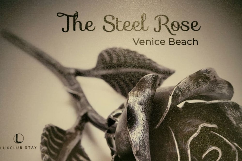 Modern Penthouse in Venice Beach-the Steel Rose-