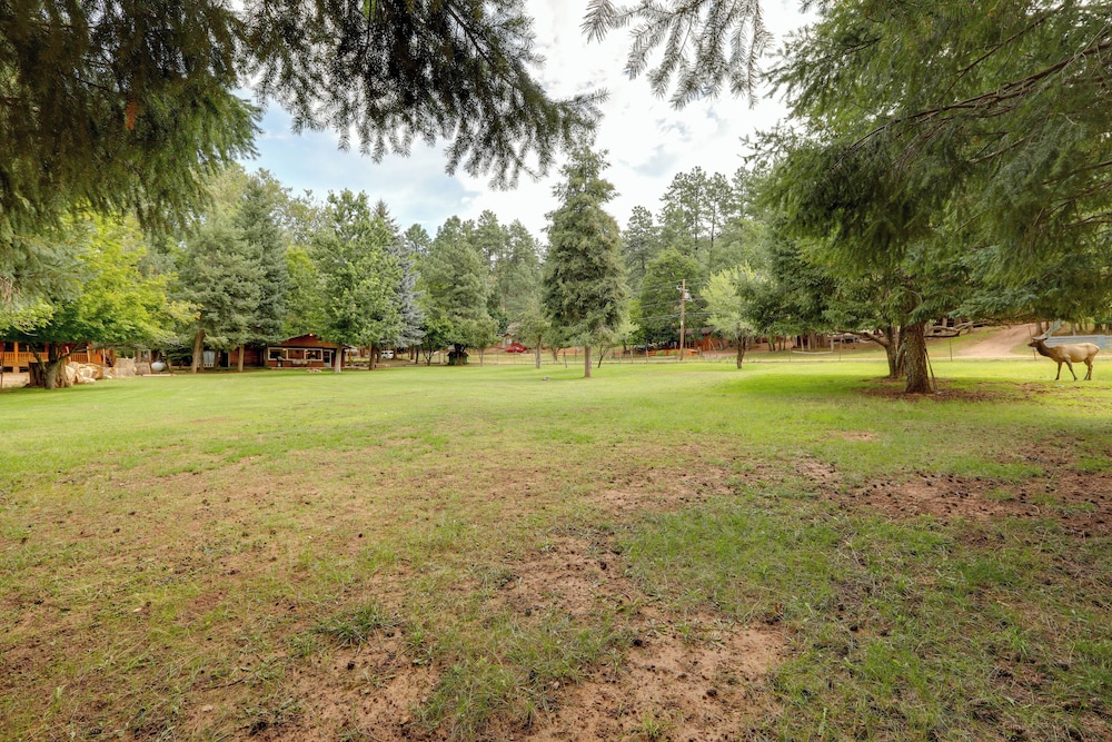 Rustic Pine Retreat w/ Fenced 1-acre Yard - Property Image 14
