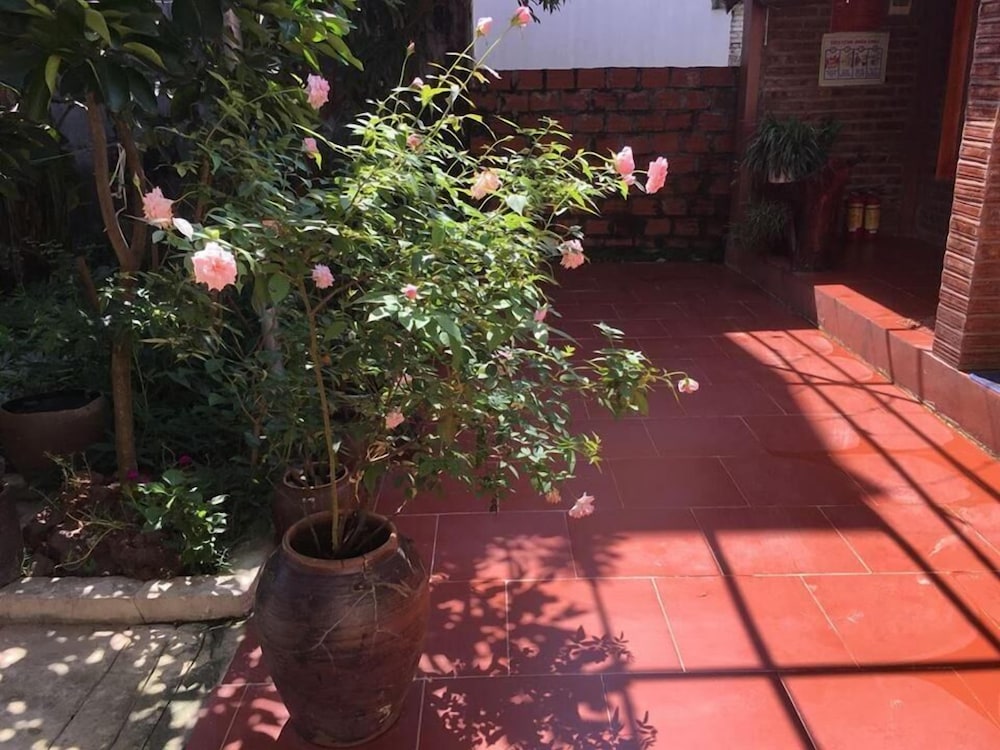 Van Long Family Homestay