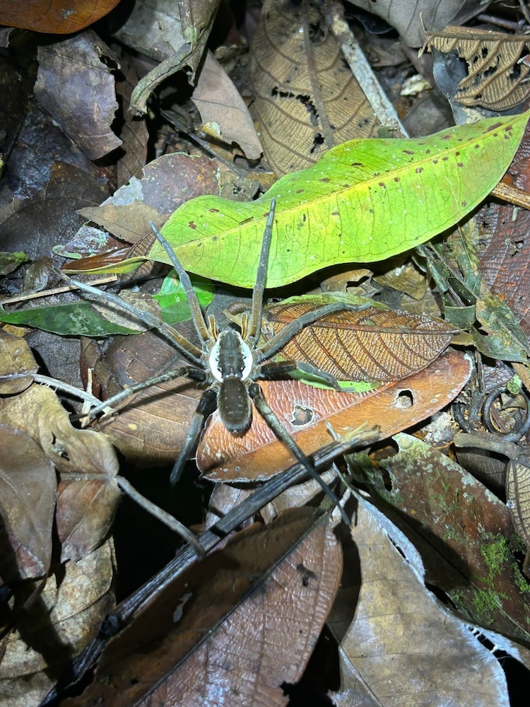 Cabañas Ecológicas Mu'ü