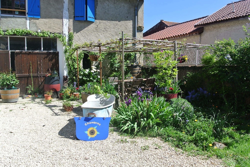 Photo 6