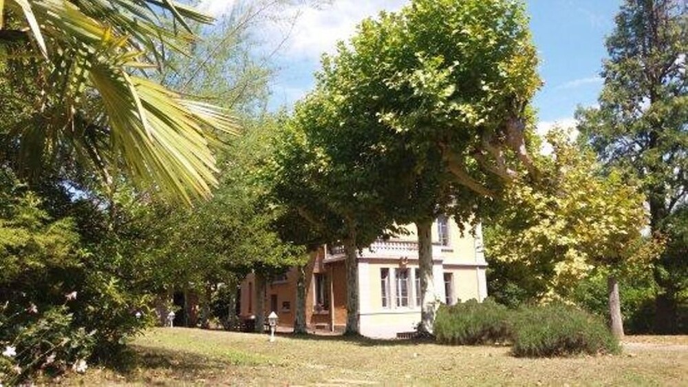 Photo 12