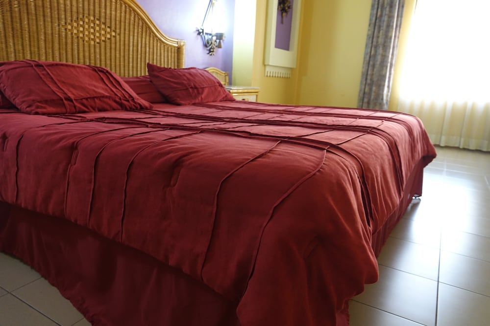 Colima Vacations - Hotel America Colima - Property Image 2