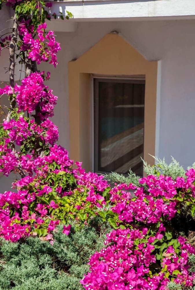 Golden Age Houses