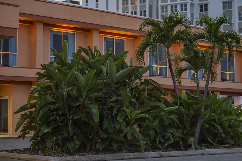 Hotel Dolphin Beach Resort - Image 1