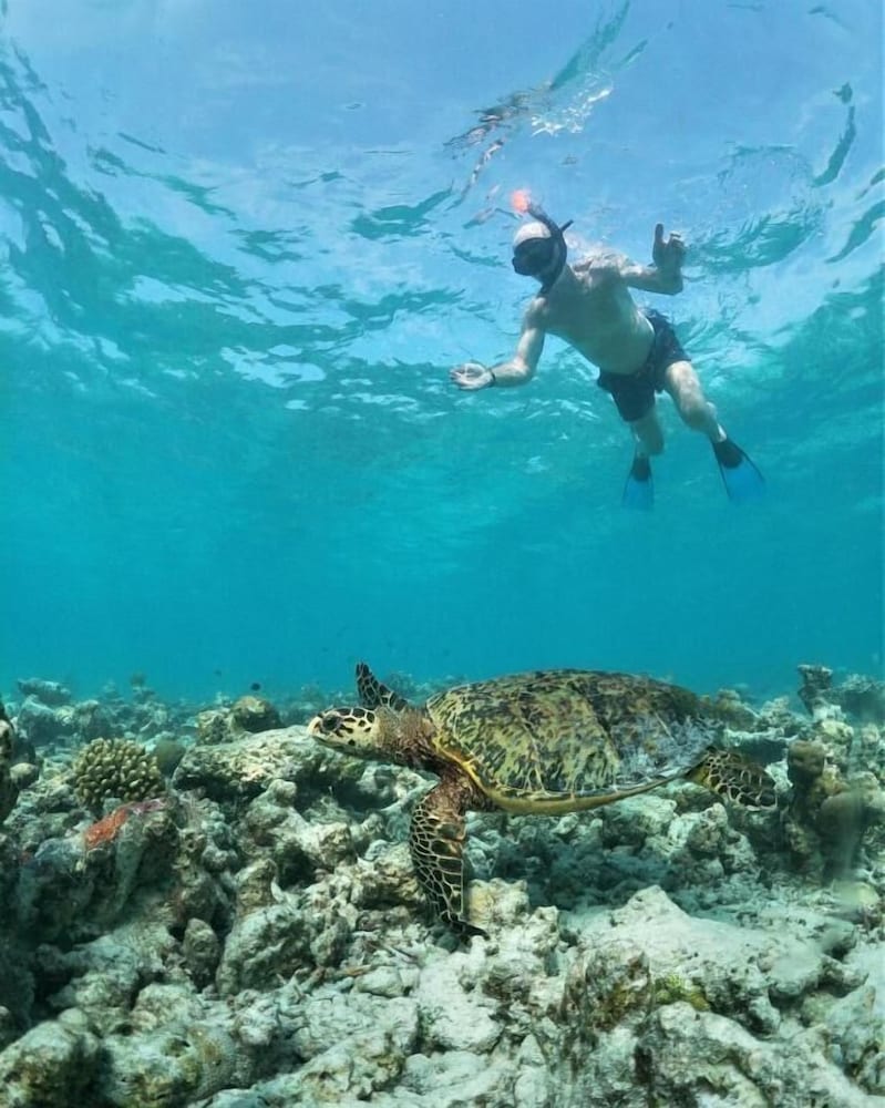 Photo 40