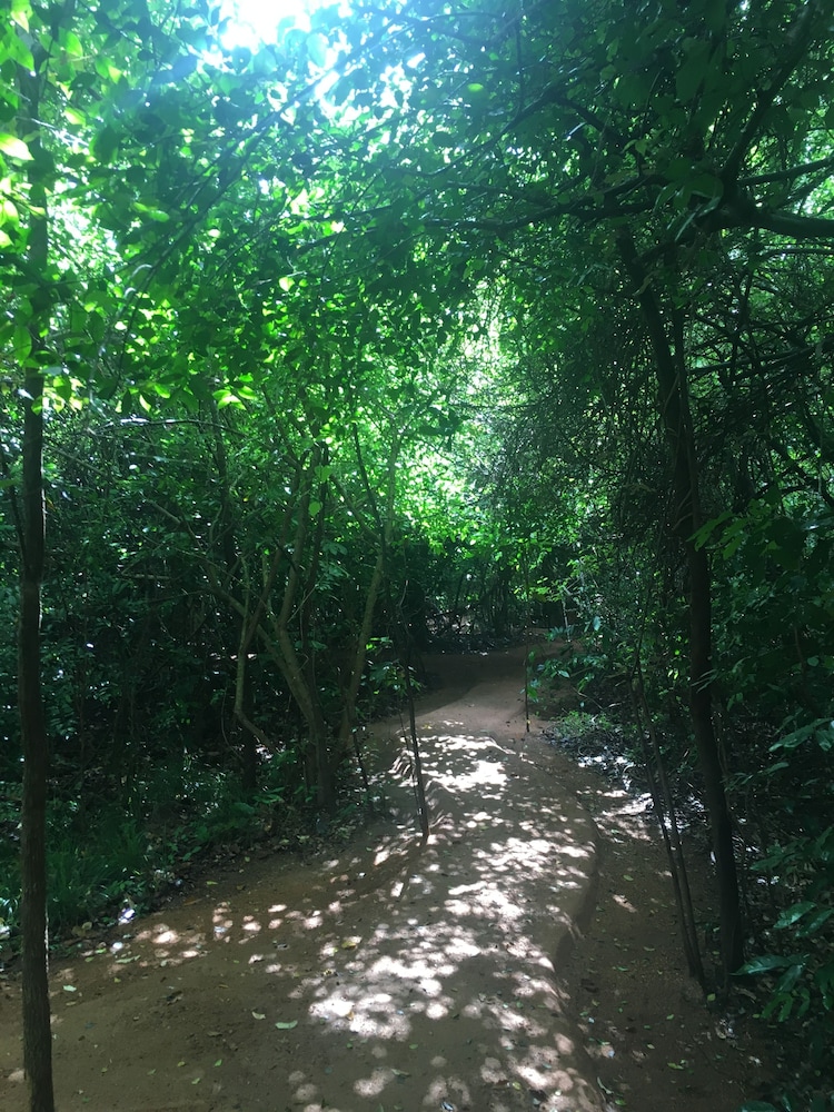 Mahagedara Wellness Retreat