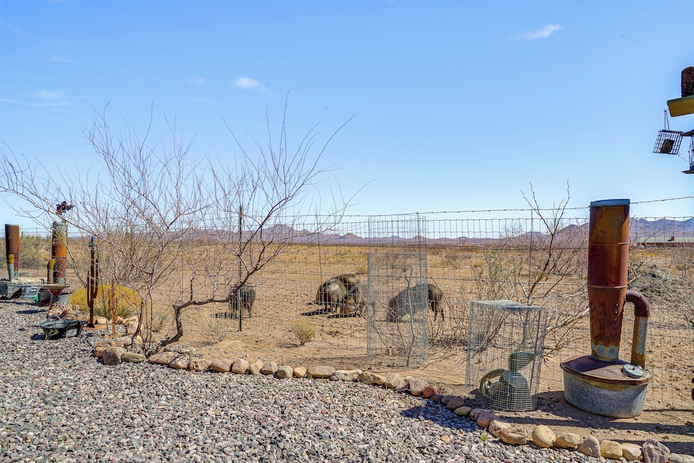 Tiny Home Studio: New Mexico Nature Retreat!