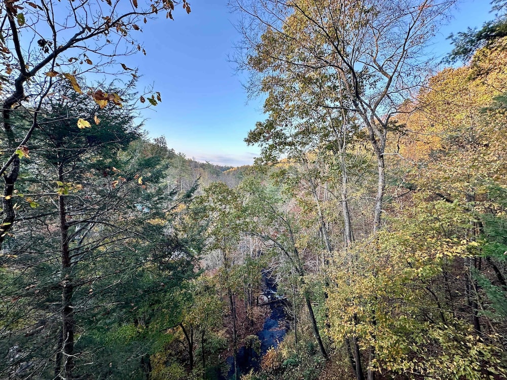 Cove Creek Overlook