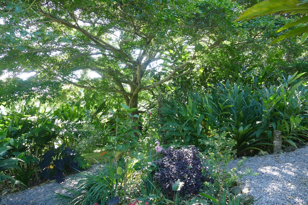 Photo 40