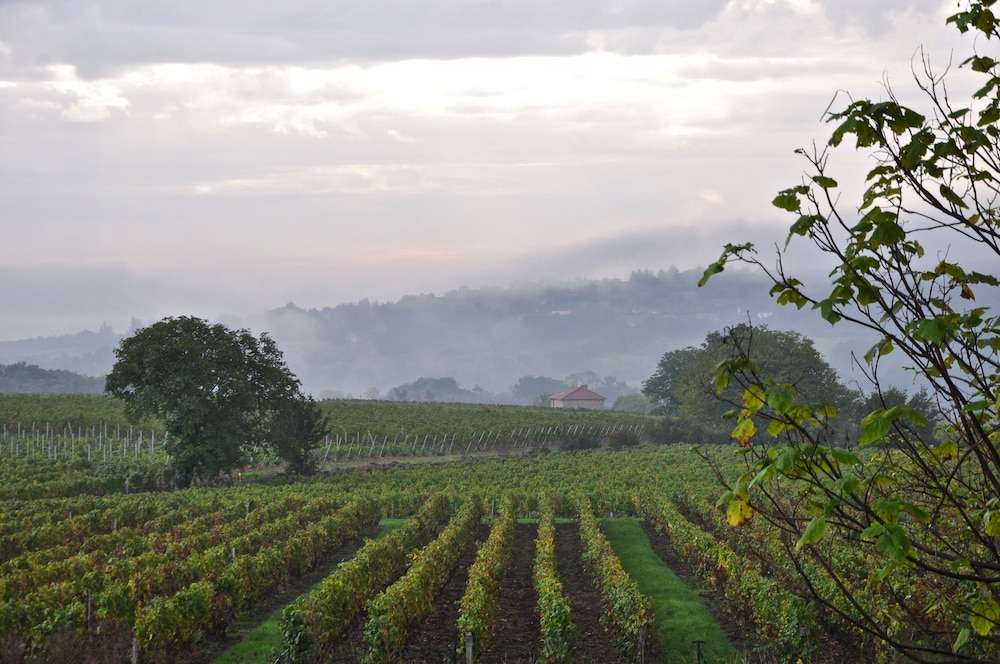 Le Clos du Cher en Beaujolais