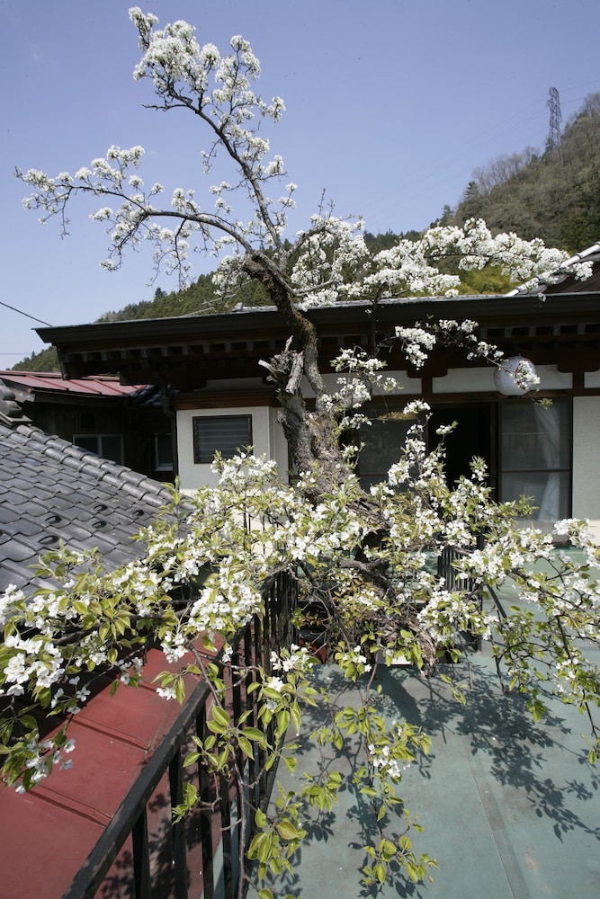 Ojikasou