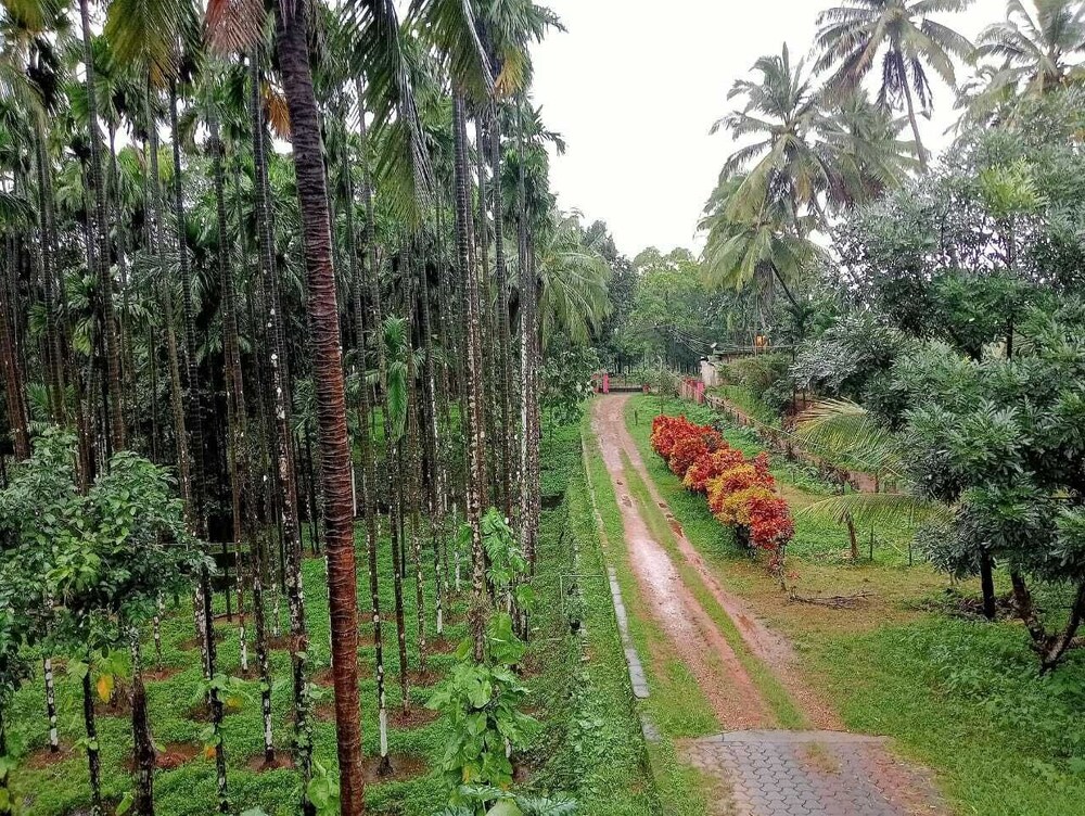 De Royale Summit Home Stay