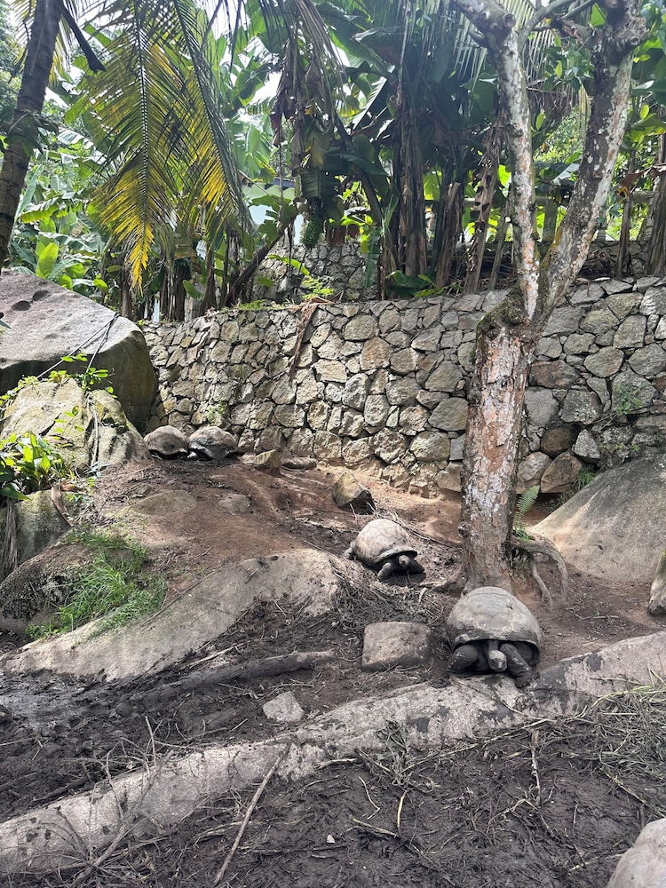 Koko Villas