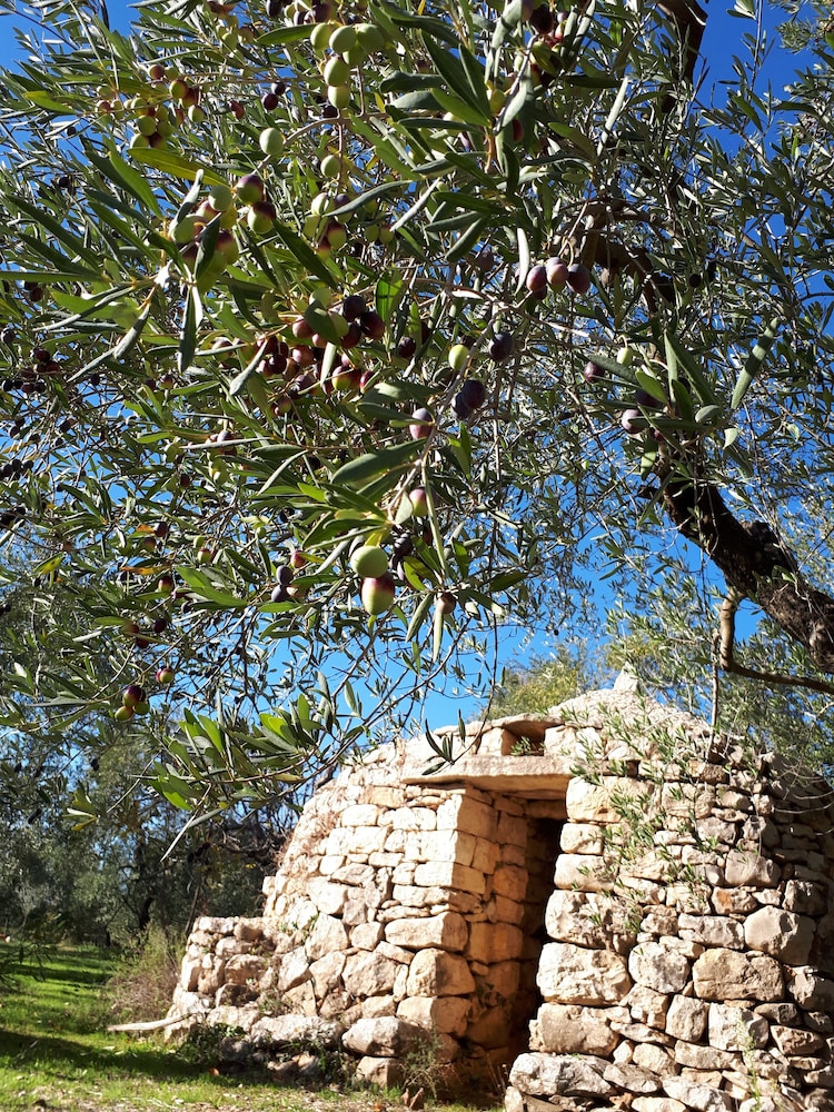 Photo 26