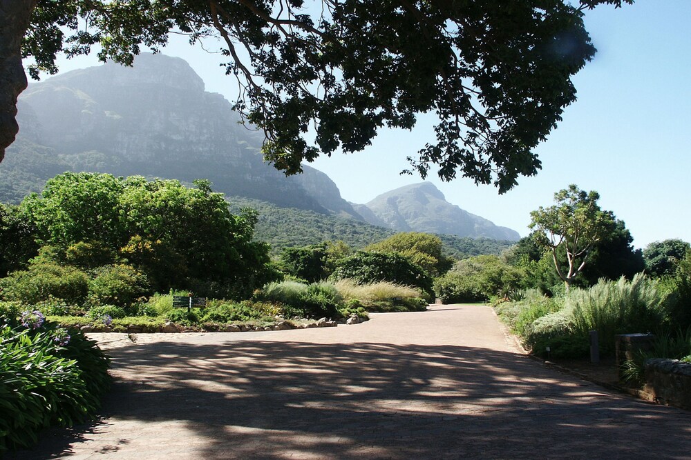 Stunning Cape Town Apart.
