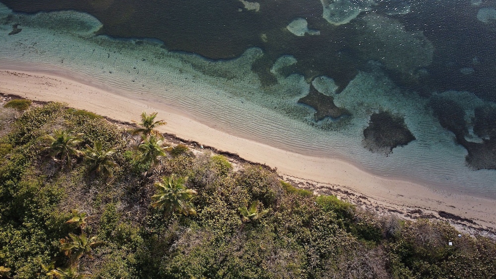 Tropical Breeze Escapes Couples Studio view 5