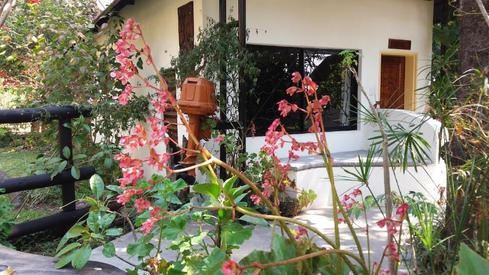 Photo 47