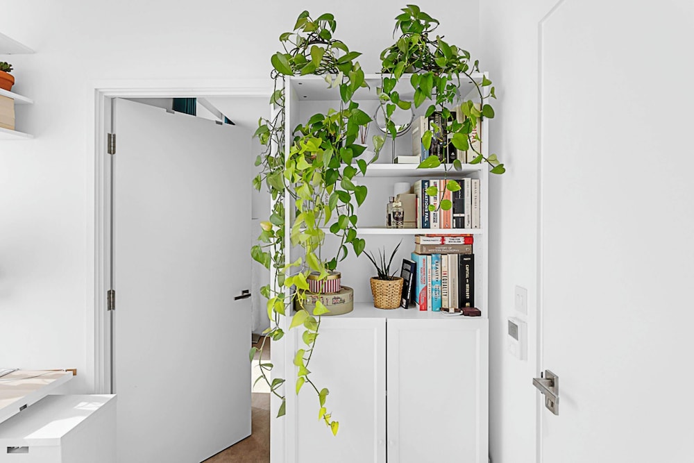 Gorgeous Clapham Flat