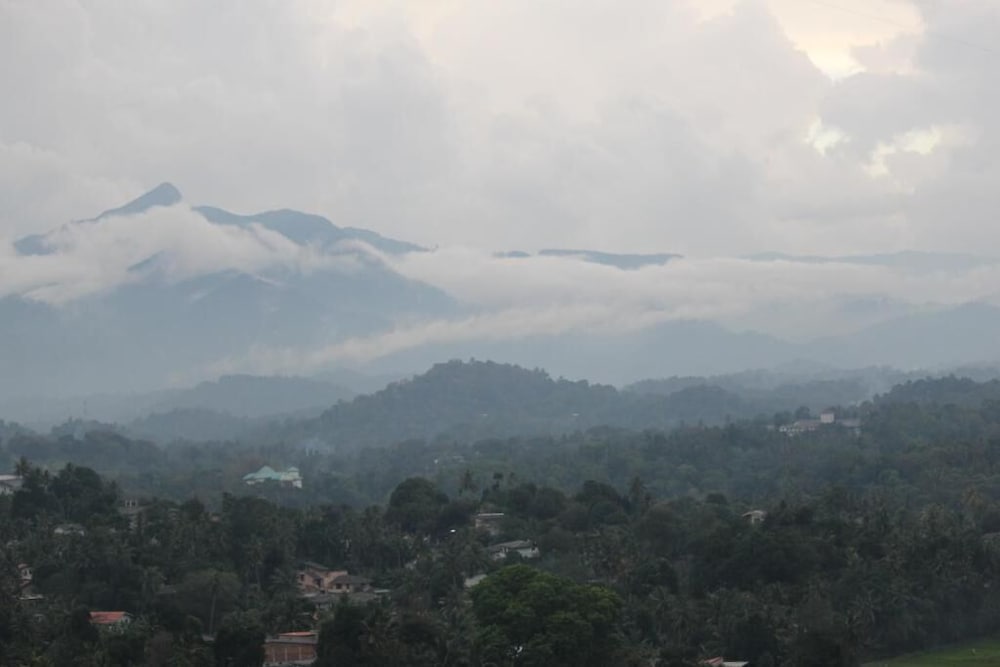 Mount view 11