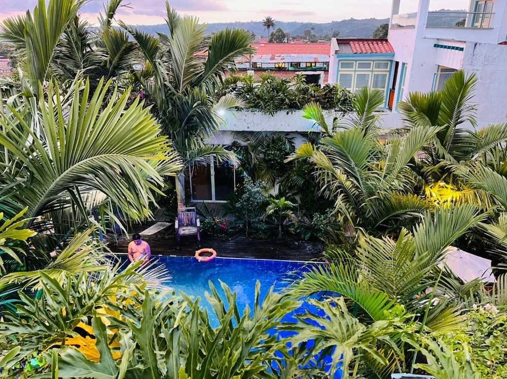 hostal hilltop salento