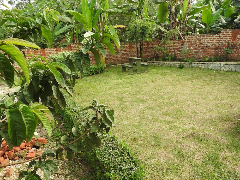 Photo 19