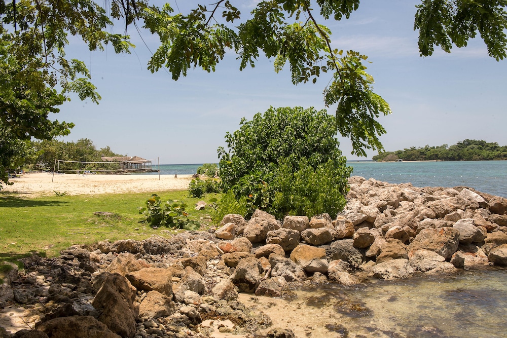 Mango Beach Studio