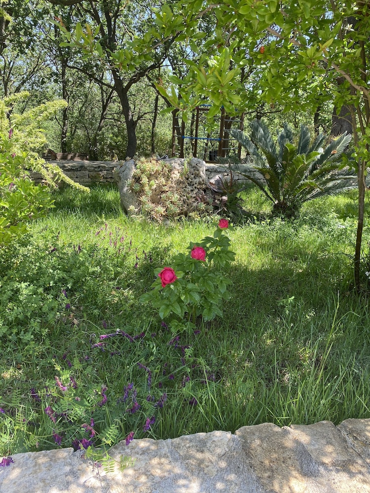 Tenuta Giannini