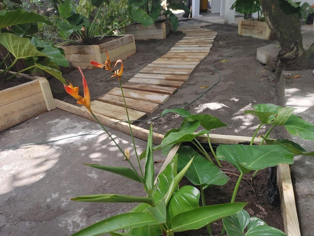 Chez Mango Villas - Photo 60