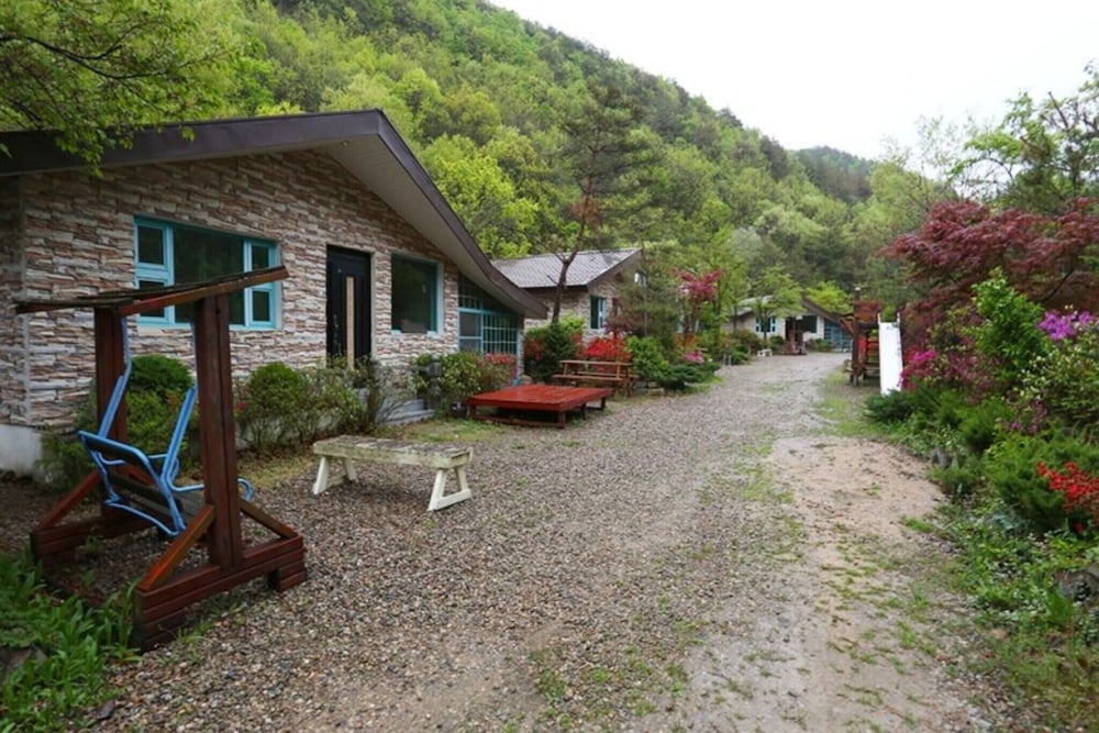 Photo 8