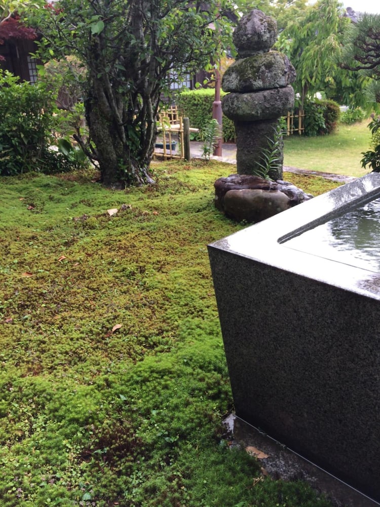 Temple Stay Tsushima Seizanji