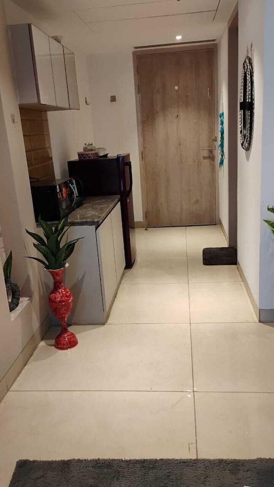 The luxury apartments