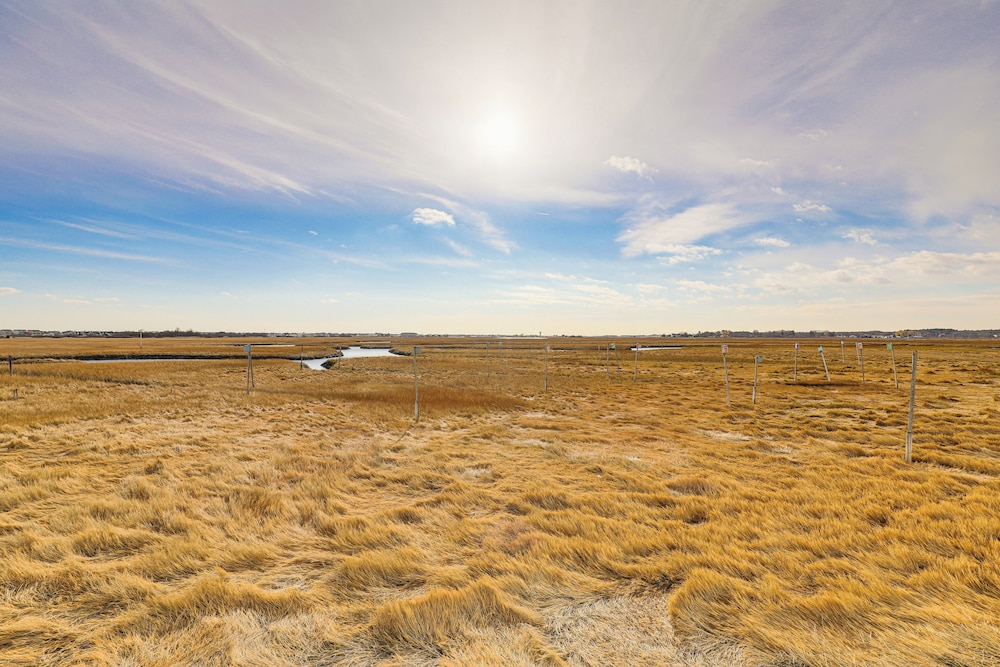Walk to Beach: Water-view Seabrook Sanctuary