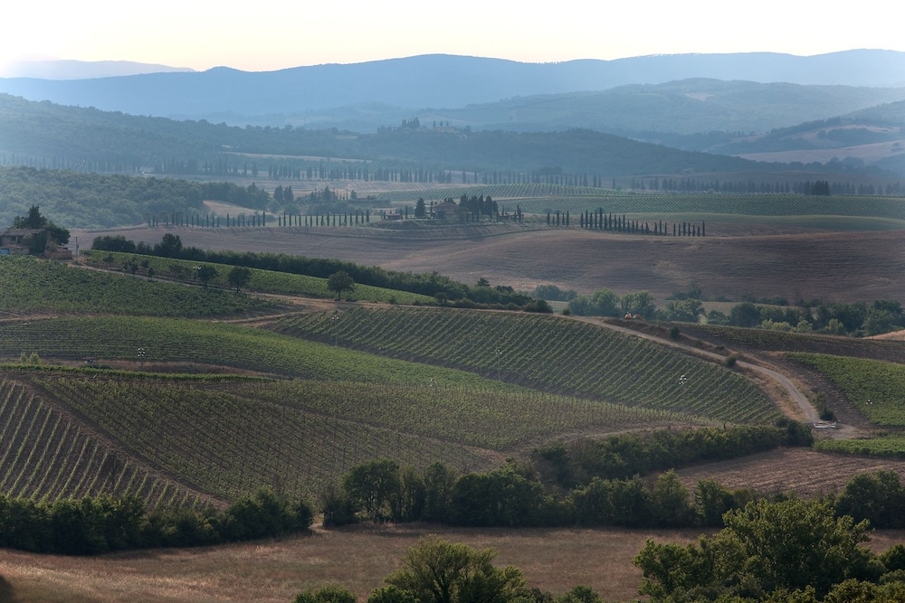 Agriturismo A. Bonacchi