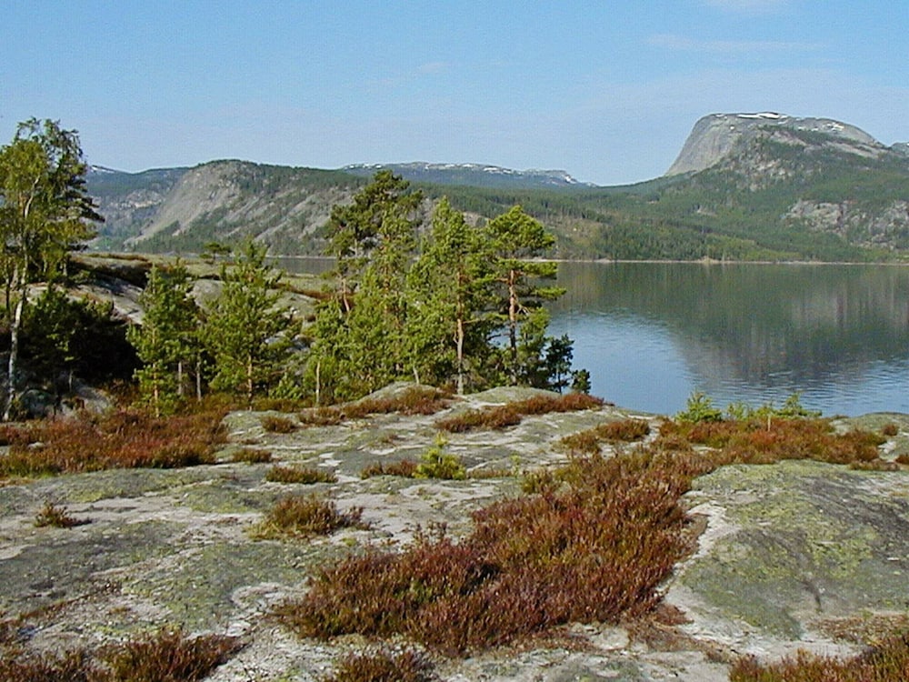8 Person Holiday Home in Vrådal view 3
