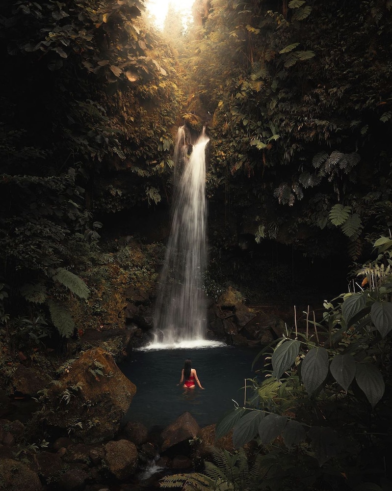Jungle Bay Dominica