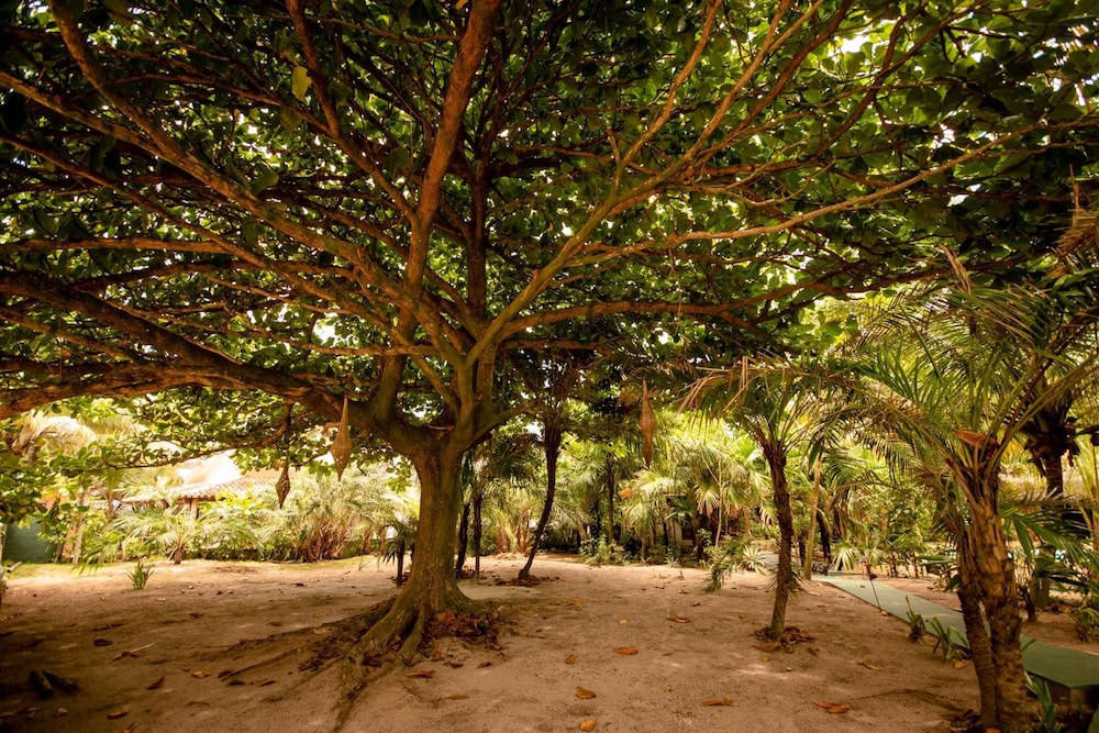 Na Villa dos Algodões