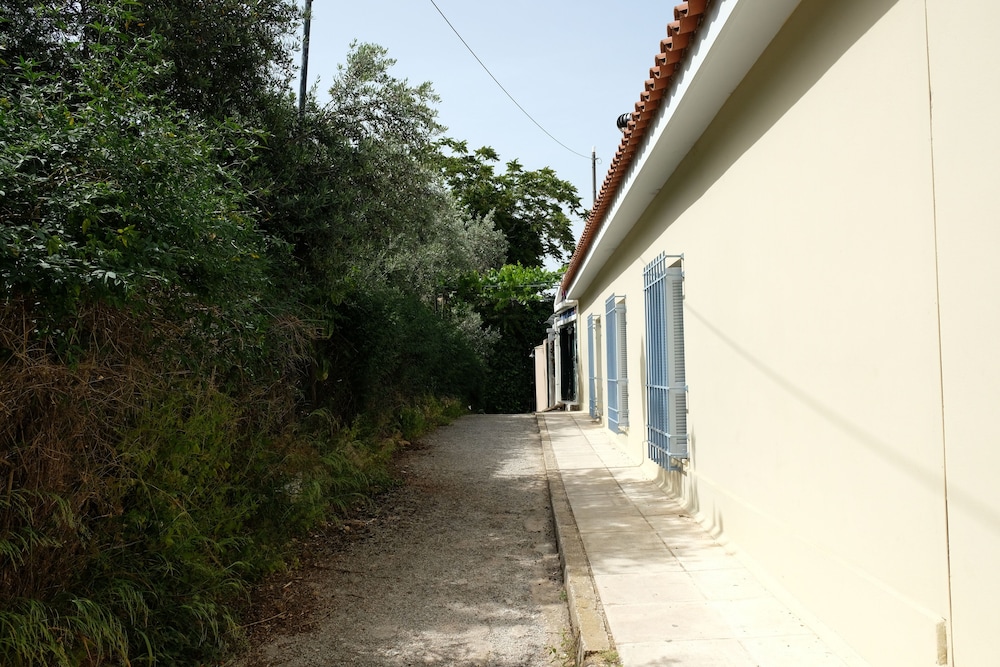 George Studio
