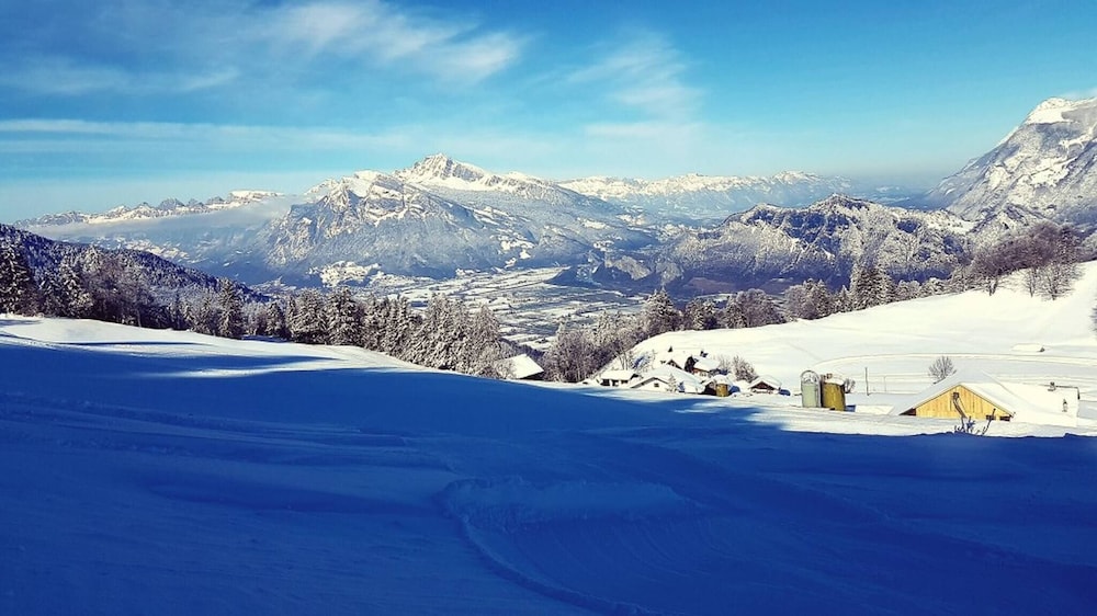 Spectacular Swiss Experience